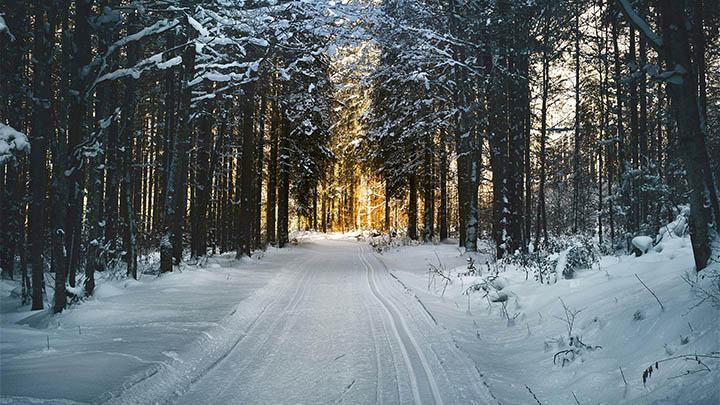 2024 年国内主要城市房价预测与限购政策解析